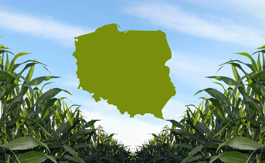  Czynniki siedliskowe i agrotechniczne determinujące możliwości wzrostu uprawy kukurydzy w Polsce. - Farmko
